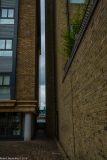 DSCF2164