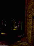 IMG_1293-Edit