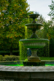 DSCF2401 (2)