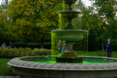 DSCF2402 (2)