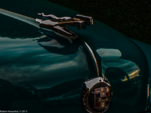 IMG_0337-Edit