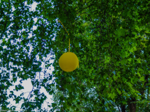 016-2