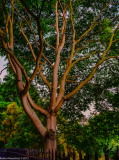 024-Edit
