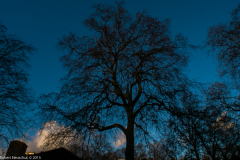 040