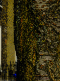 DSCF0938