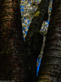 DSCF0940