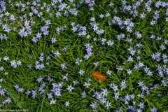 DSCF2001-3