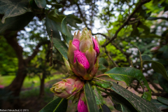 DSCF2023-2