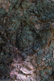 DSCF2023