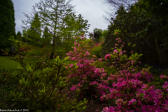 DSCF2024