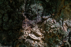 DSCF2025