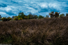 DSCF2026-2