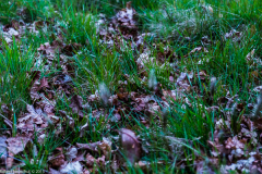 DSCF2029-3