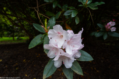 DSCF2030-2