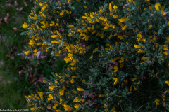 DSCF2031