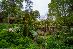 DSCF2037-2