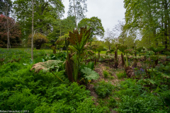 DSCF2038