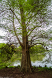 DSCF2044-2