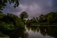 DSCF2047