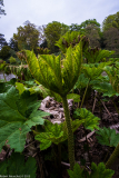 DSCF2049-2