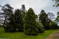 DSCF2057-2