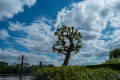 DSCF2058