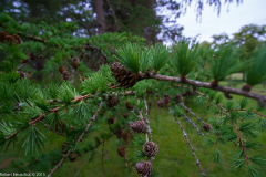 DSCF2062