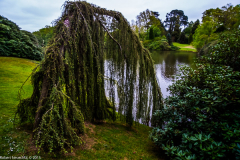 DSCF2069