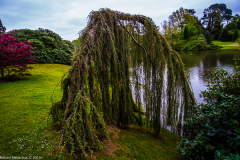 DSCF2070-2