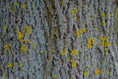 DSCF2382