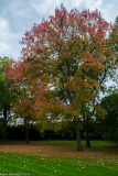 DSCF2397