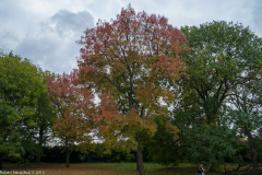 DSCF2398