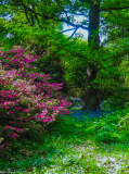 IMG_0031-Edit