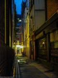 DSCF1398