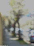 DSCF0921