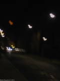 IMG_0010