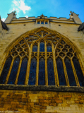 DSCF1102