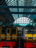 DSCF1359