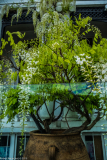 DSCF2036