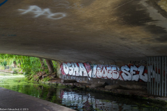 DSCF2047