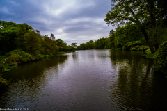 DSCF2055-2