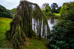DSCF2069-2